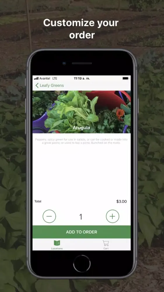The Fruitful Field Screenshots