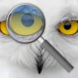 Photo Loupe Photo Loupe