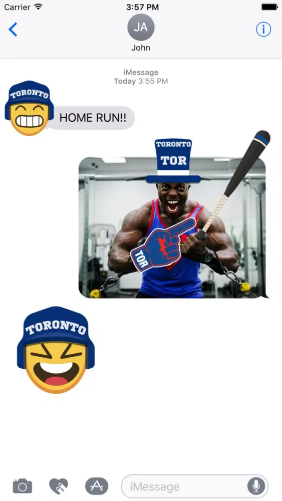 Toronto Baseball Stickers & Emojis應用截圖