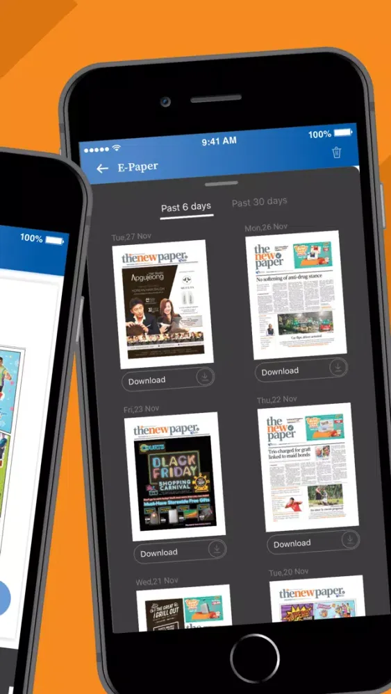 Captures d'écran de The New Paper