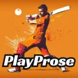 Pin Up Cricket Quiz for you