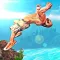 Flipper Jump 3D