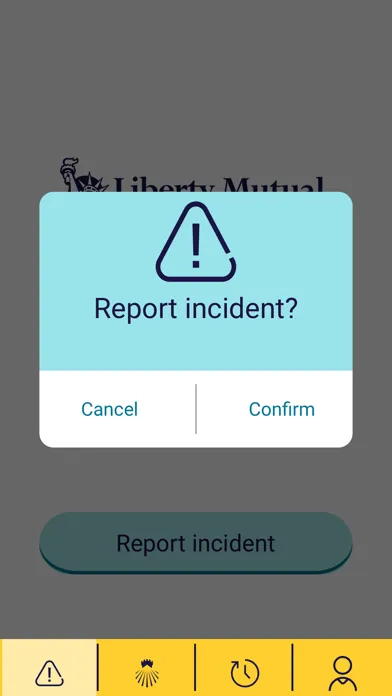 Zrzuty ekranu Liberty Mutual Cyber Response