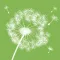 iWish Diary | A positive journaling tool, wish list