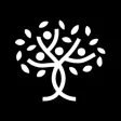 Spiritual Life Foundation Spiritual Life Foundation