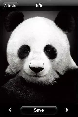 تصاویر Best wallpapers & backgrounds
