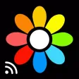 Lifestream - Cast your moments