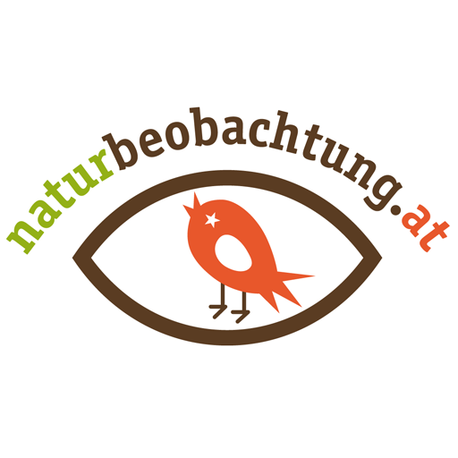 naturbeobachtung.at