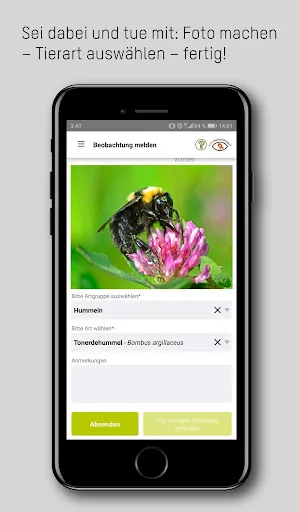 naturbeobachtung.at Ekran Görüntüleri