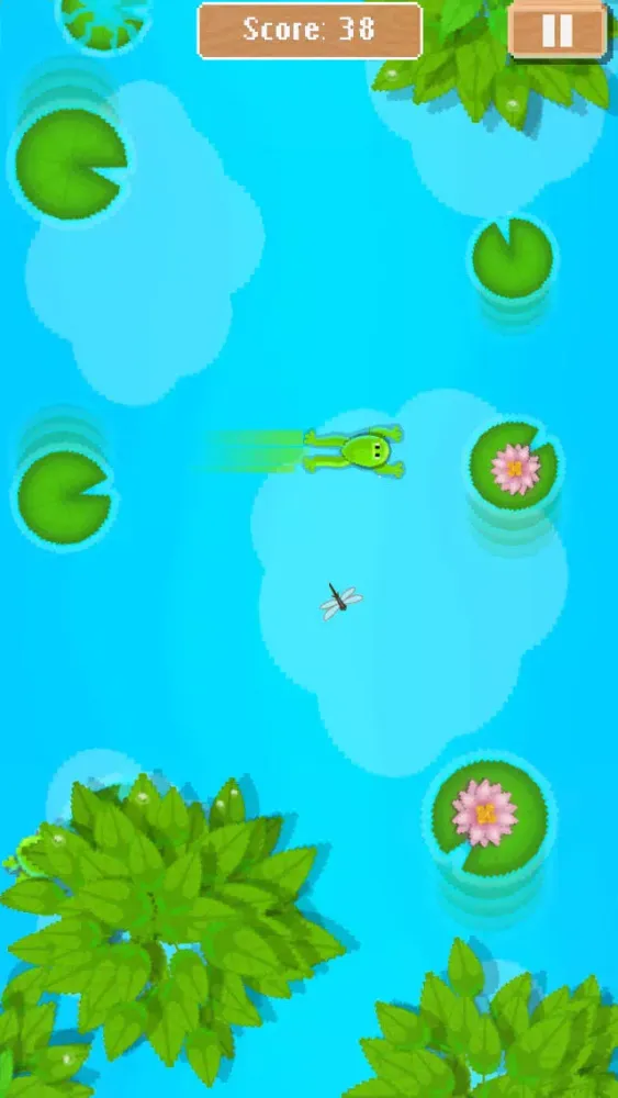صور Frog Commander