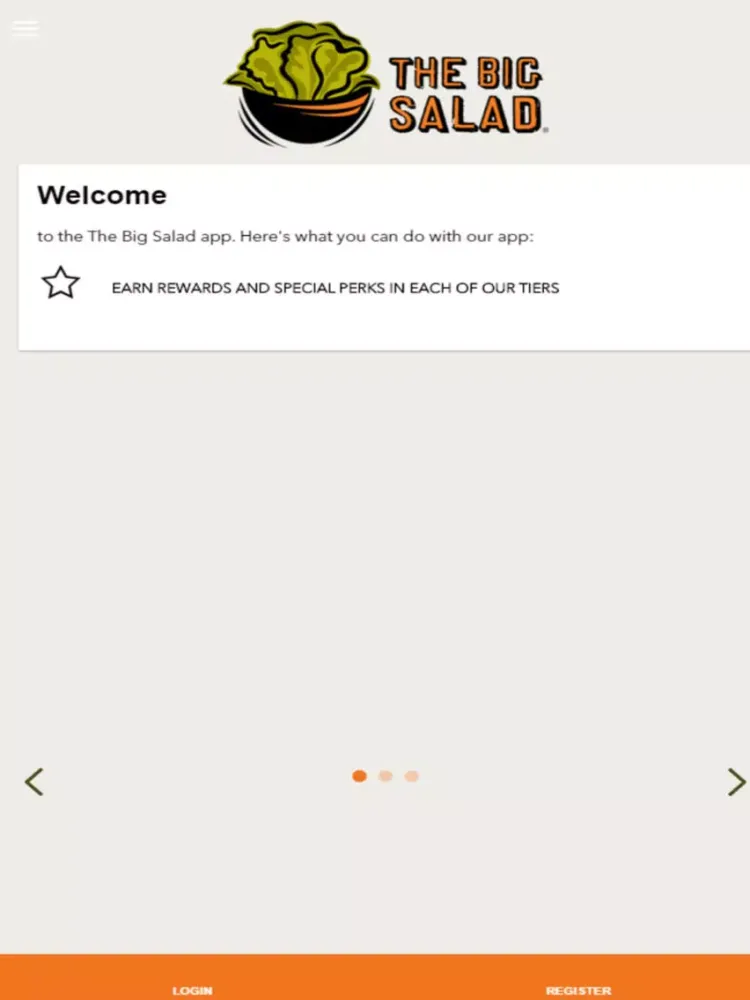 Screenshot di Big Salad iPad 