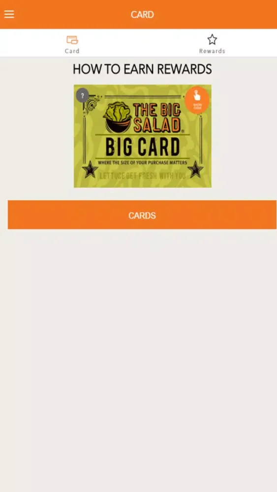 Screenshot di Big Salad