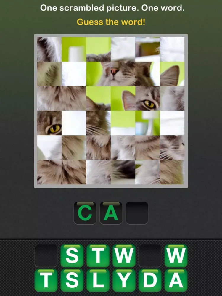 Puzzle Words iPad  Screenshots