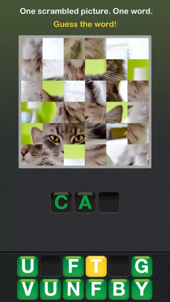 Puzzle Words Screenshots