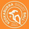 Kookaburra Beep Cricket Ball Kookaburra Beep Cricket Ball
