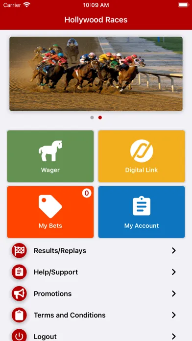 Ảnh chụp màn hình của Hollywood Races