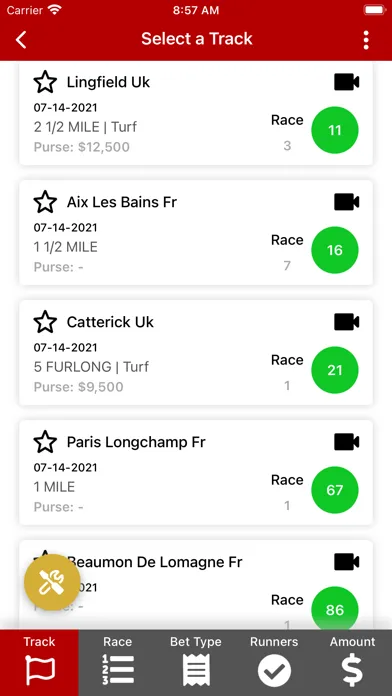 Ảnh chụp màn hình của Hollywood Races