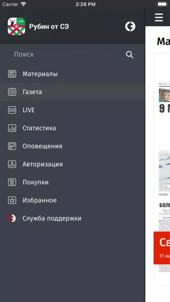 Tangkapan layar Рубин от СЭ