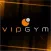 Vip Gym Lanus