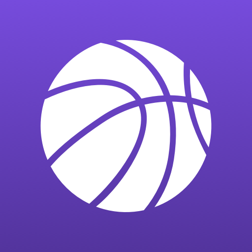 Superfan: WNBA Basketball