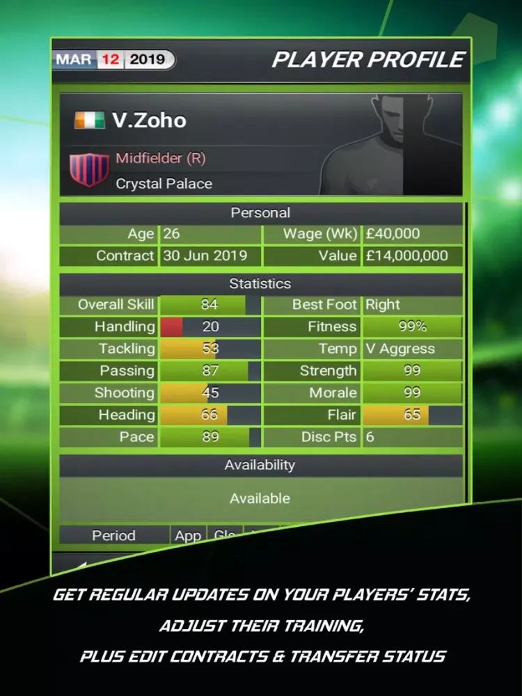 Football Director 2019 iPad  Ekran Görüntüleri