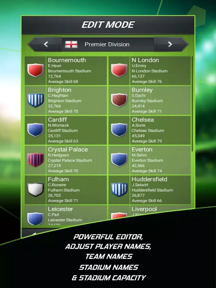 Football Director 2019 iPad  Ekran Görüntüleri