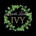 Sports Lounge IVY