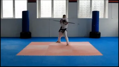Capturas de tela do Tang Soo Do Syllabus