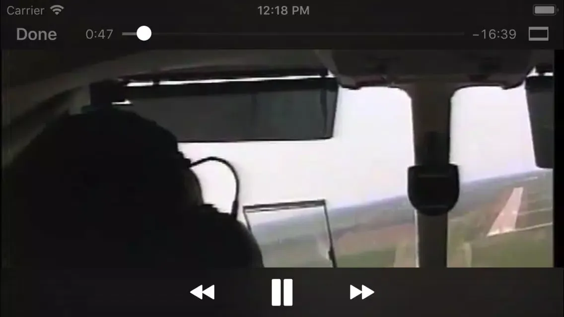 Advanced Spring Weather Flying স্ক্রিনশট