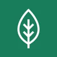 Eco Friendly Cleaners Eco Friendly Cleaners