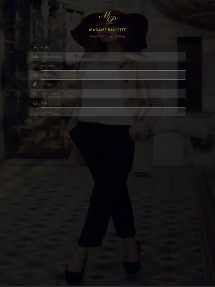 تصاویر Madame Paulette Cleaners iPad 