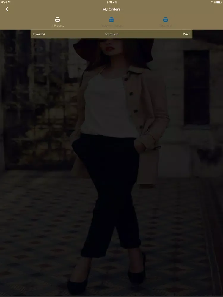 تصاویر Madame Paulette Cleaners iPad 