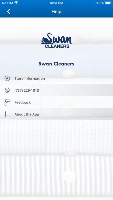Screenshot di Swan Cleaners