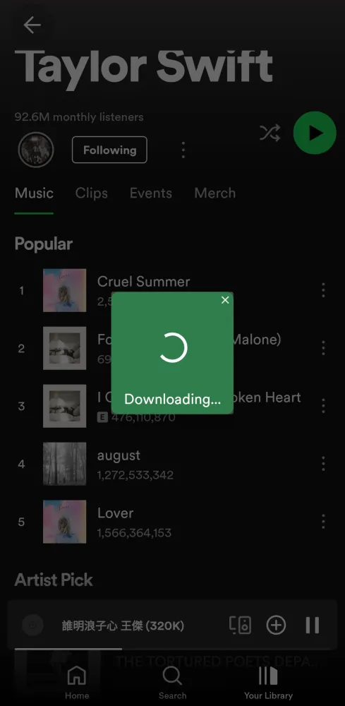 Spotify X স্ক্রিনশট