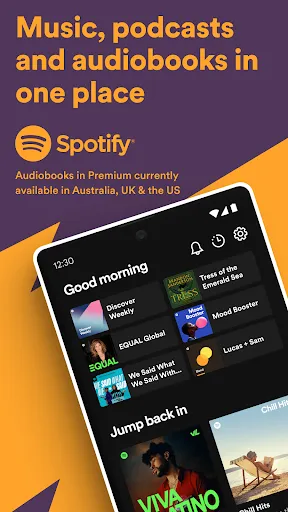 Spotify Pro: Music and Podcasts Screenshots