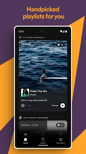 Spotify Pro: Music and Podcasts Screenshots