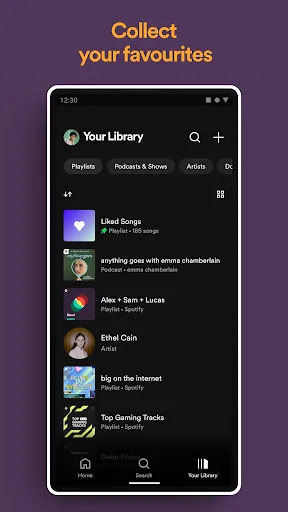 Spotify Pro: Music and Podcasts Screenshots