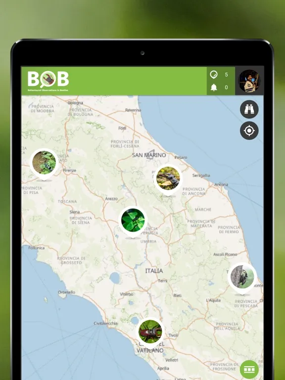 BOBeetles iPad  স্ক্রিনশট