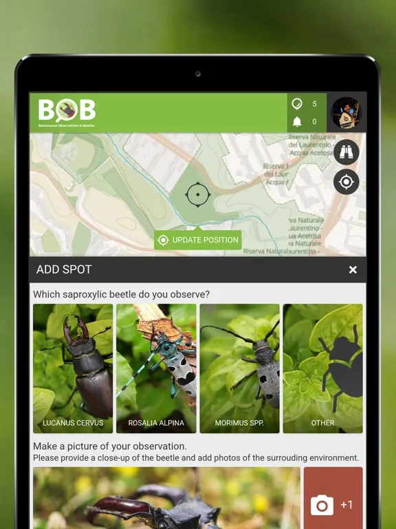 BOBeetles iPad  স্ক্রিনশট