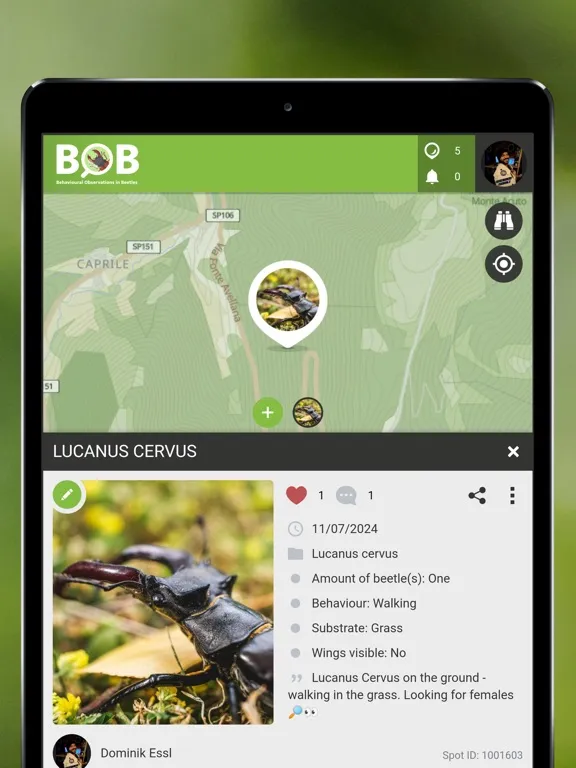 BOBeetles iPad  স্ক্রিনশট