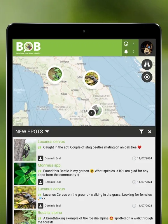 BOBeetles iPad  স্ক্রিনশট
