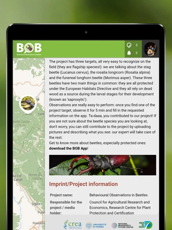BOBeetles iPad  স্ক্রিনশট
