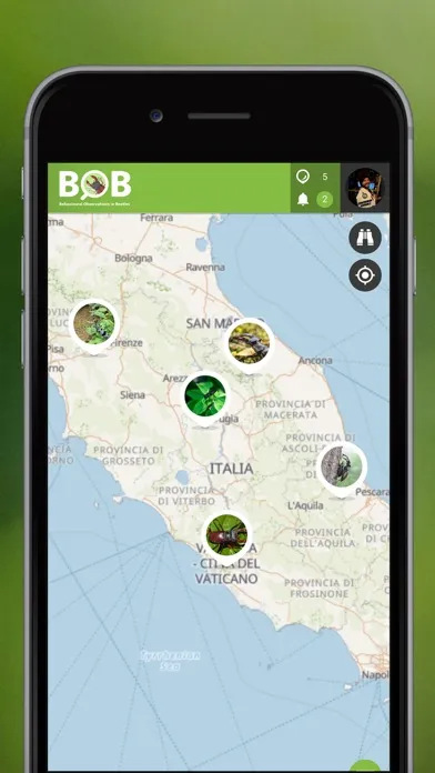 BOBeetles স্ক্রিনশট