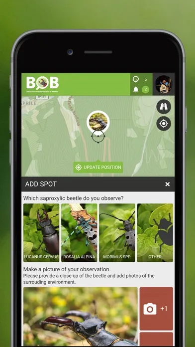 BOBeetles স্ক্রিনশট