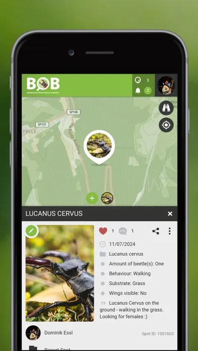 BOBeetles স্ক্রিনশট