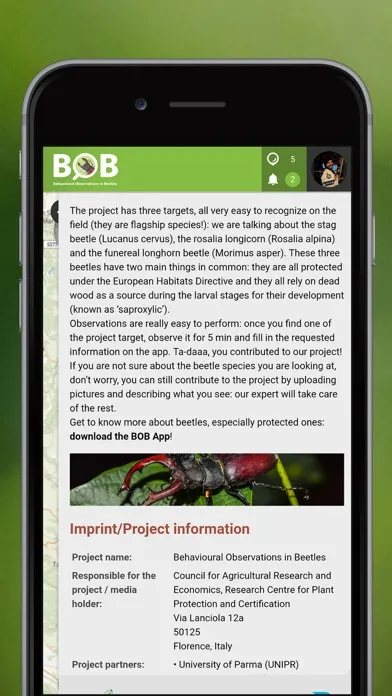 BOBeetles স্ক্রিনশট