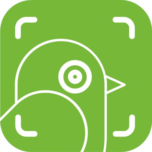 LITTERBUG | GLOBAL 2000