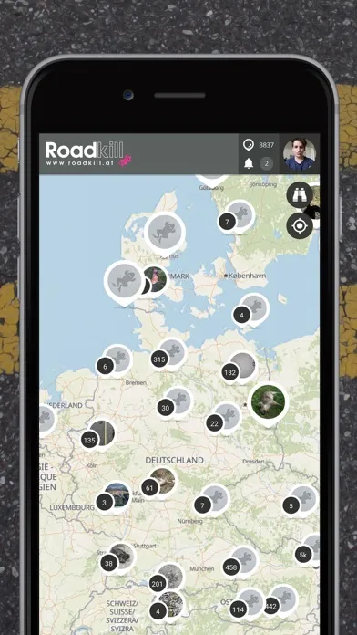 Roadkill | SPOTTERON 스크린샷