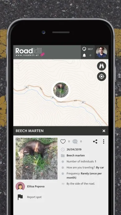 Roadkill | SPOTTERON 스크린샷