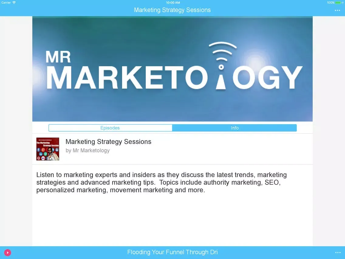 Zrzuty ekranu Marketing Strategy Sessions iPad 